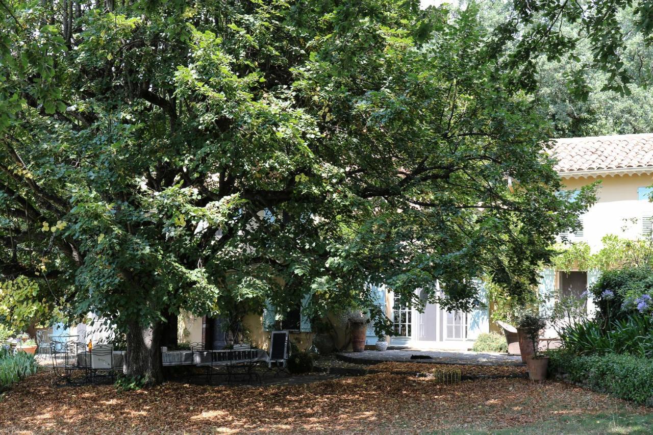 Domaine Des Tilleuls D'Or Saint-Cezaire-sur-Siagne Exterior photo