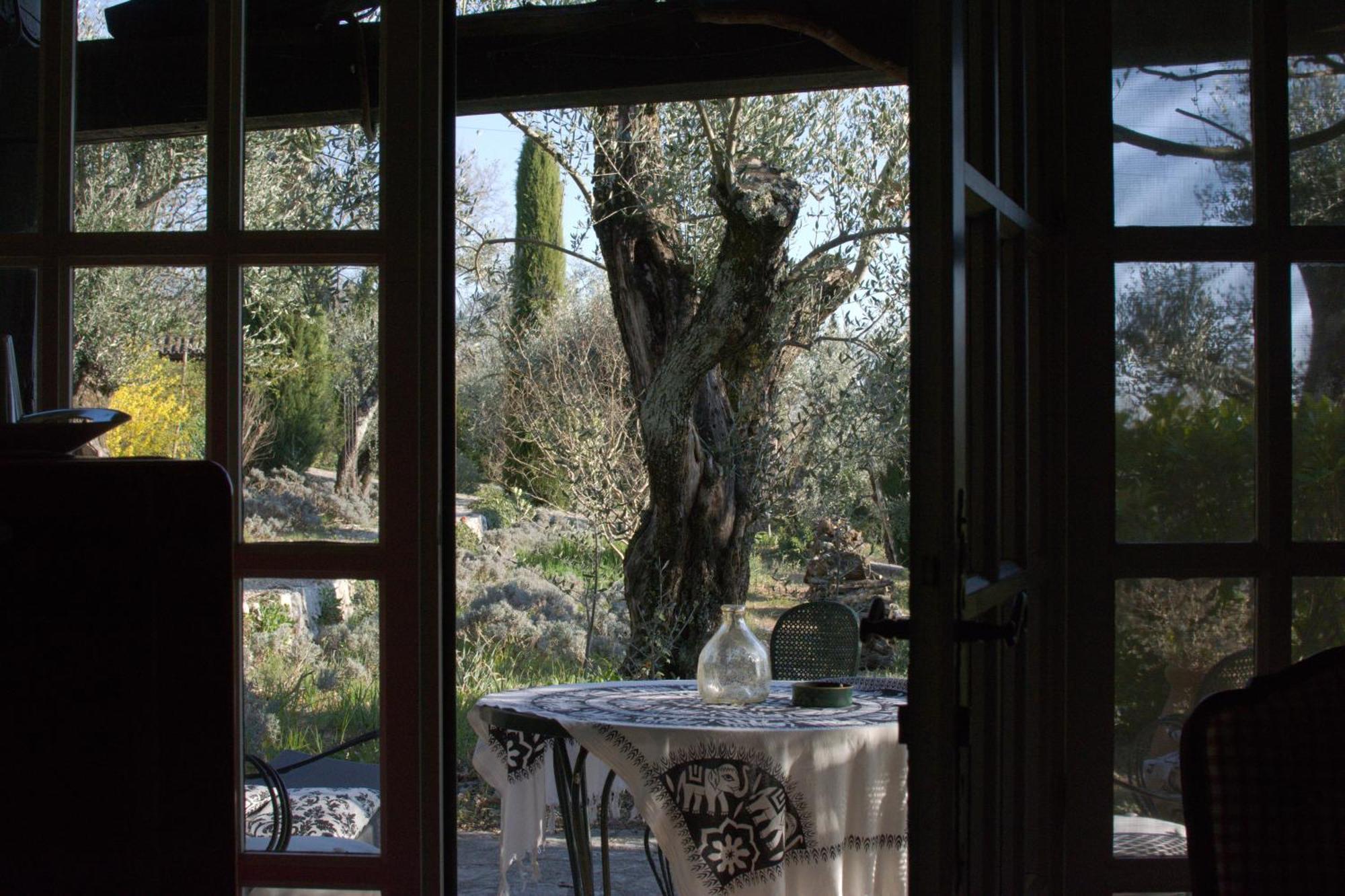 Domaine Des Tilleuls D'Or Saint-Cezaire-sur-Siagne Room photo